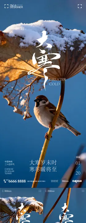 大寒节气系列海报