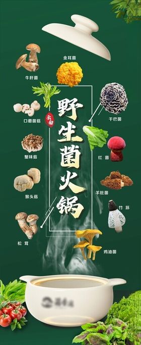 野生菌海报