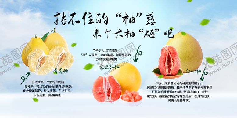 编号：22230209272317488938【酷图网】源文件下载-柚子蓝色异形吊旗