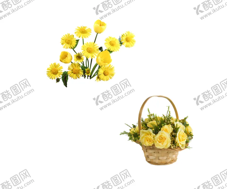 编号：90163006171526477394【酷图网】源文件下载-鲜花素材