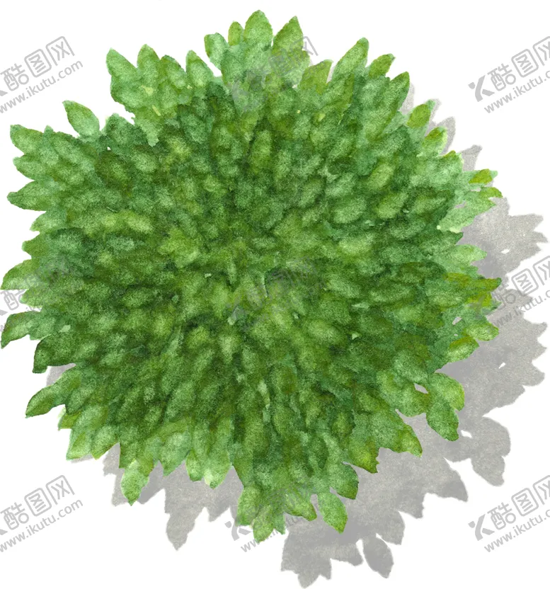 编号：86231403290545315664【酷图网】源文件下载-手绘植物