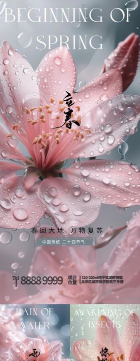 立春雨水惊蛰地产节气海报