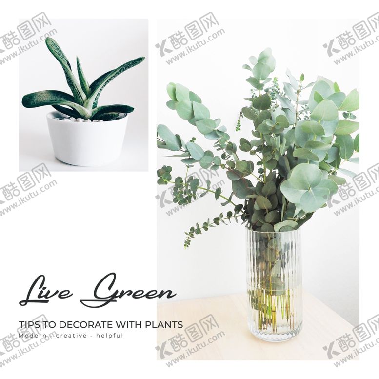 编号：84686009151742573766【酷图网】源文件下载-照片图片排版设计