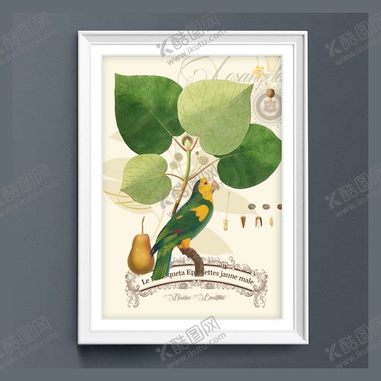 编号：82750109161333532259【酷图网】源文件下载-美式田园鹦鹉树叶装饰画