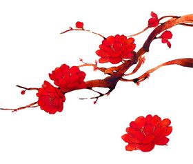 鲜花装饰