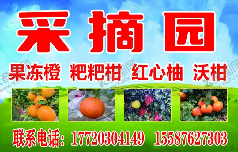 编号：85033202201321592428【酷图网】源文件下载-采摘园