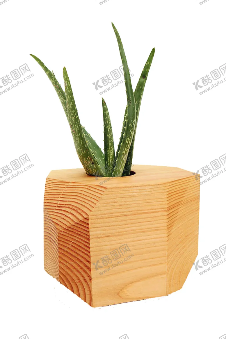 编号：92070505032329375891【酷图网】源文件下载-芦荟盆栽