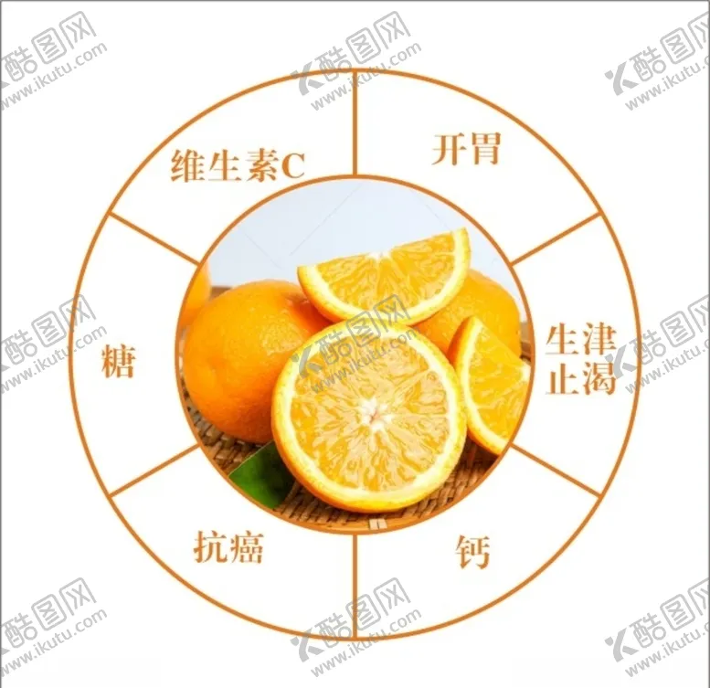 编号：38513705021835122401【酷图网】源文件下载-脐橙