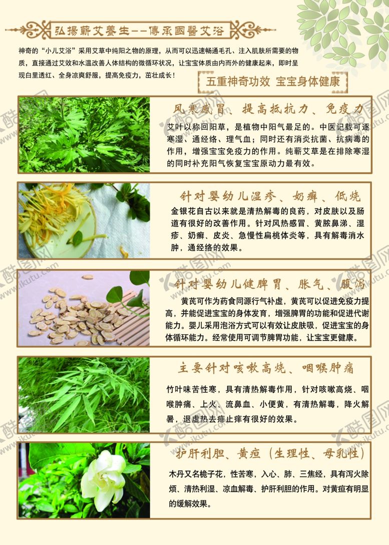 编号：81358709221433126745【酷图网】源文件下载-中药单页