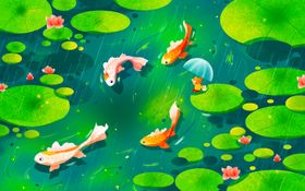 池塘中游动的多彩锦鲤