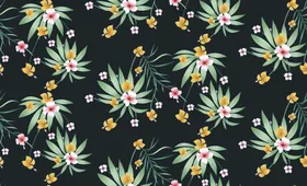 热带花