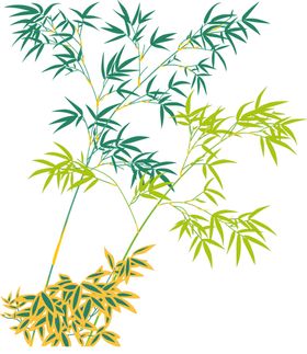 水墨