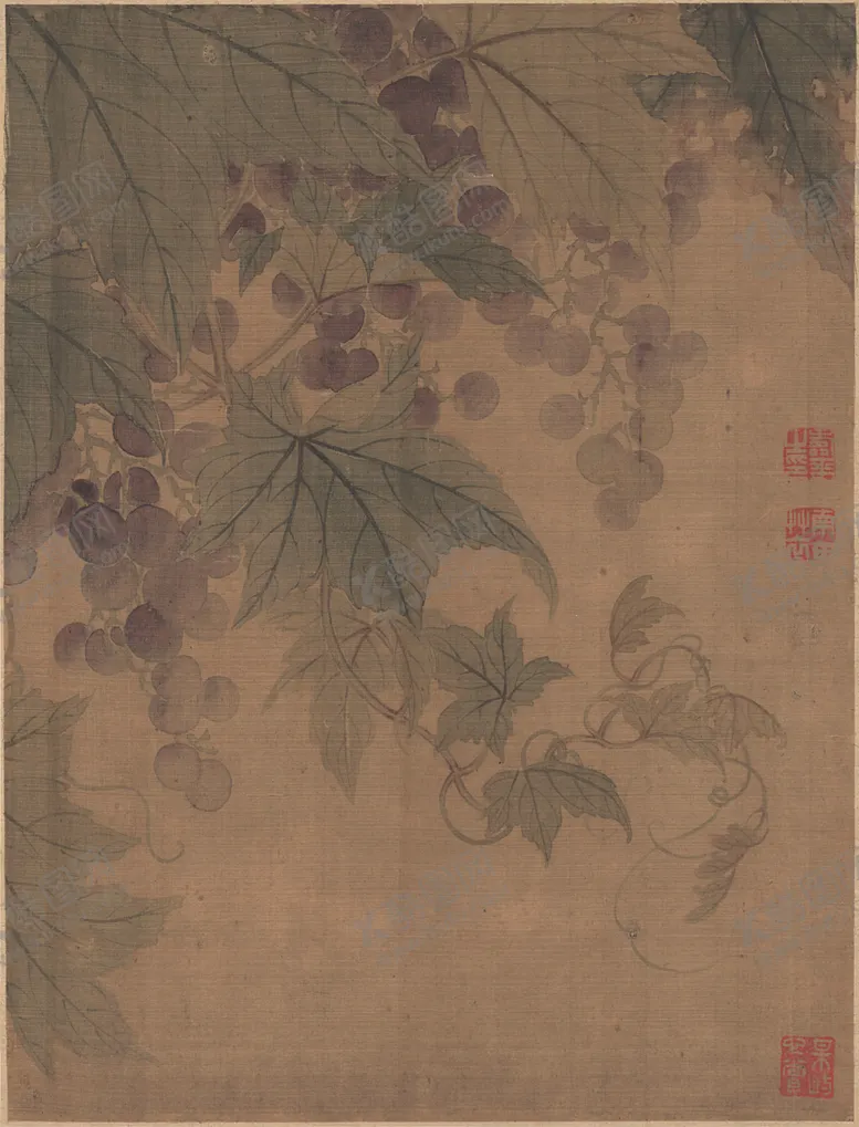 编号：64084606290244135039【酷图网】源文件下载-清代恽寿平花草绘画