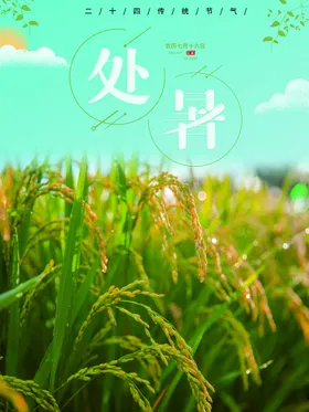 处暑单片单页节气节气海报
