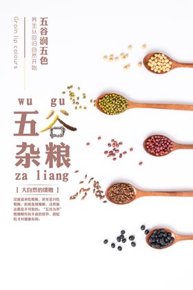五谷杂粮海报谷物豆豆素材