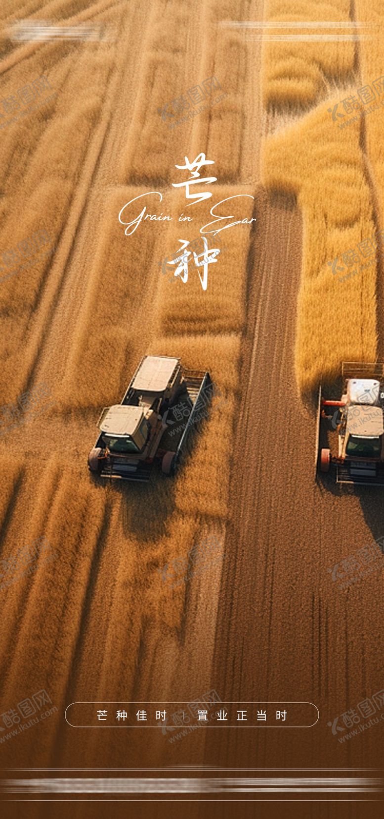 编号：81900812010449346167【酷图网】源文件下载-芒种海报