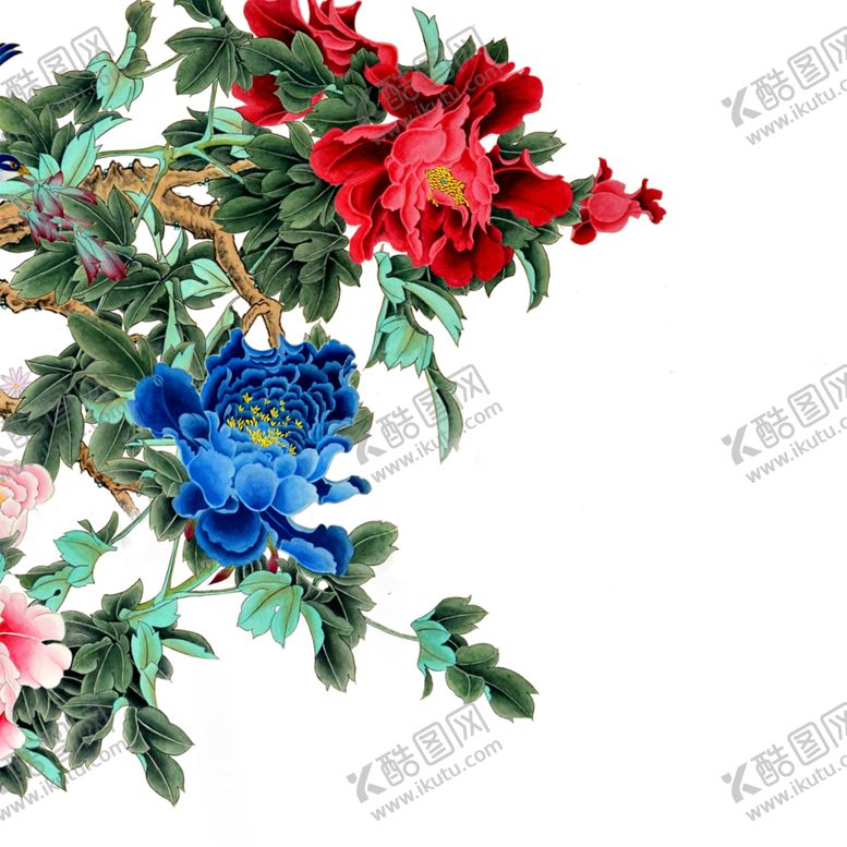 编号：22624006240859137335【酷图网】源文件下载-牡丹花