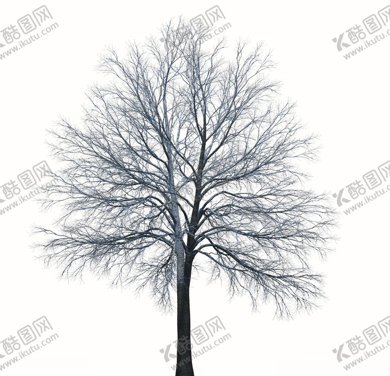 编号：15537810070739583085【酷图网】源文件下载-树林