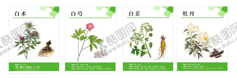 编号：56935203061849466199【酷图网】源文件下载-中药材展板