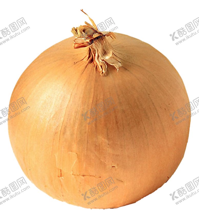 编号：86896805151448251615【酷图网】源文件下载-洋葱
