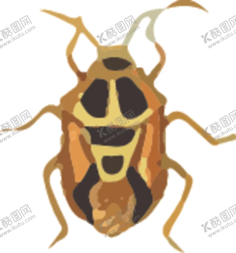 编号：55876507050455284347【酷图网】源文件下载-自然昆虫标本插画