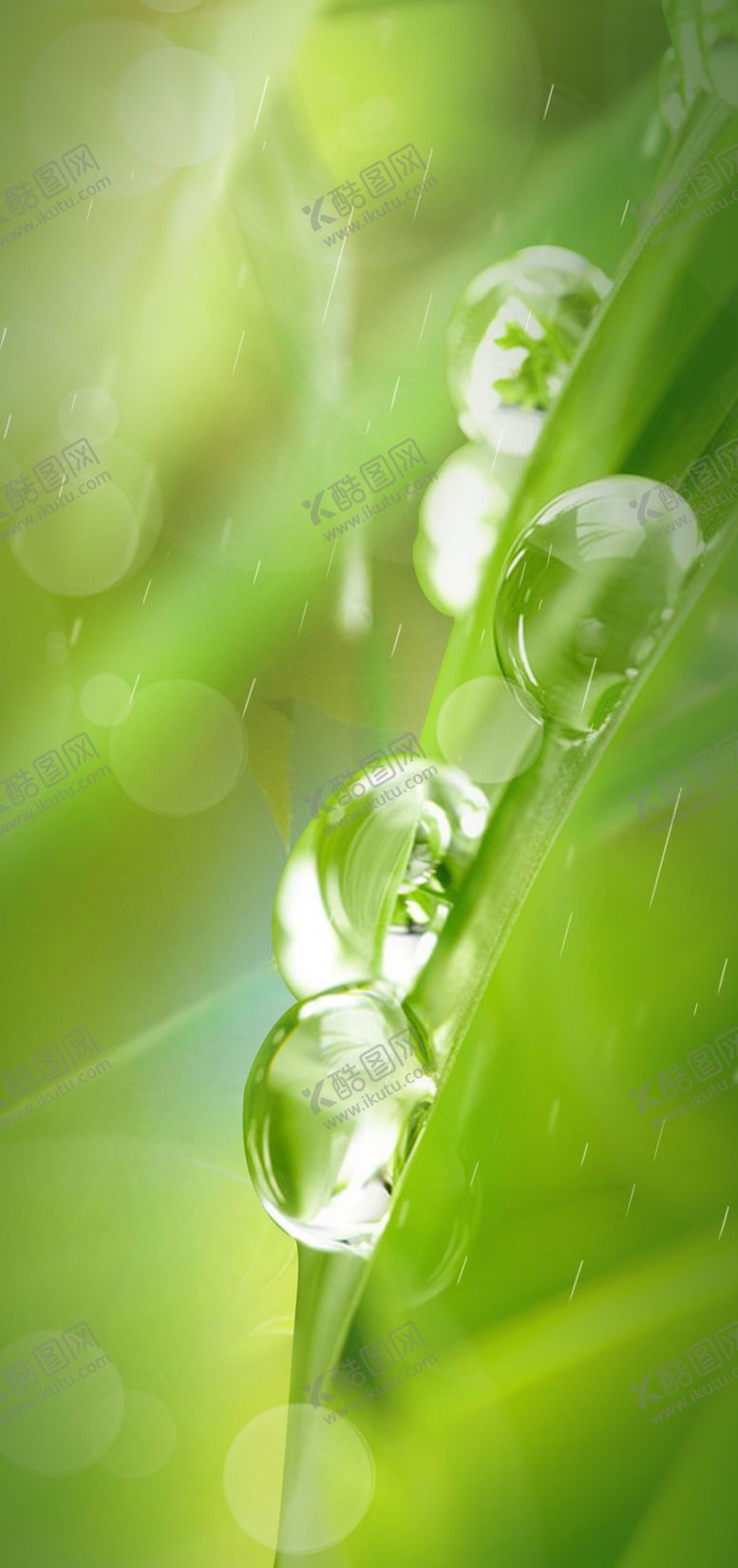 编号：73336209121741274671【酷图网】源文件下载-雨水节气单图底图