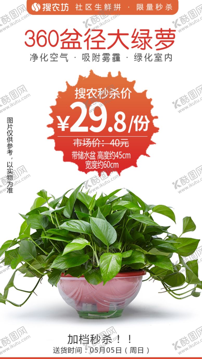 编号：13354006161539019752【酷图网】源文件下载-360盆径大绿萝秒杀