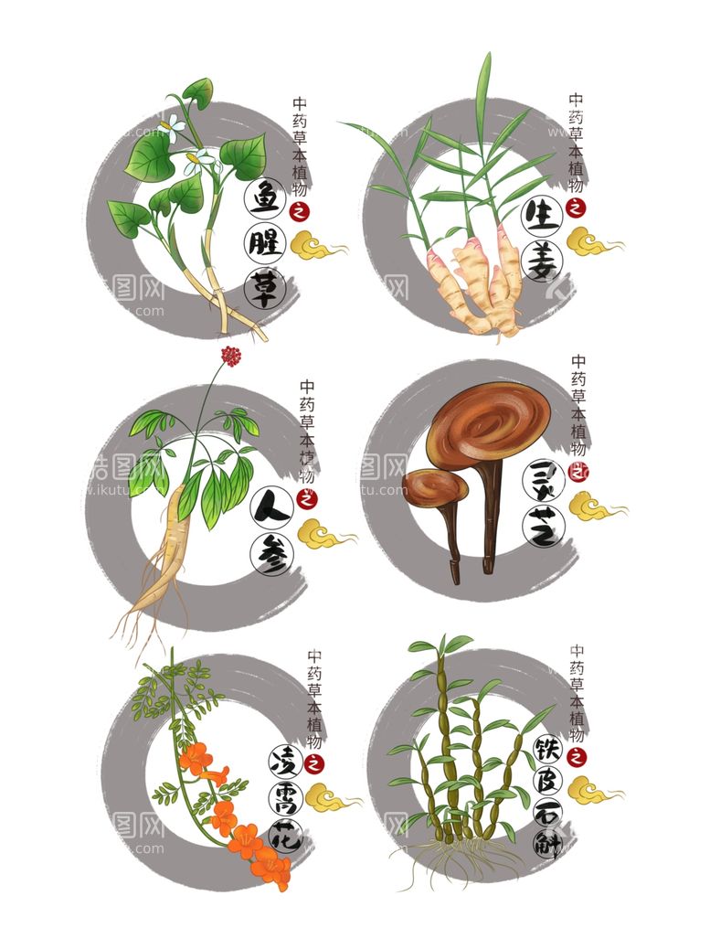 编号：14794911251722547177【酷图网】源文件下载-中药草本植物