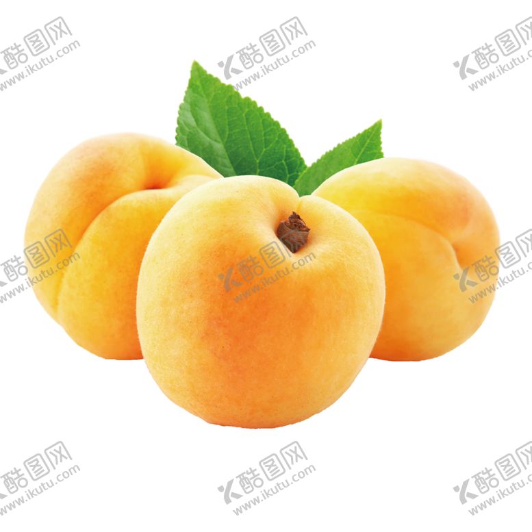 编号：80777010141245084784【酷图网】源文件下载-水果