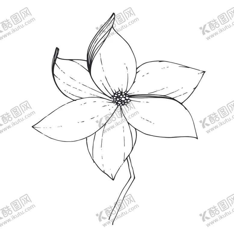 编号：27699401130536545267【酷图网】源文件下载-植物白描速写     