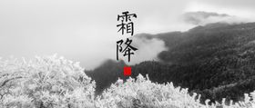 霜降白露叶子海报