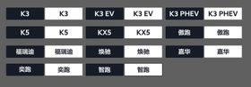 全系燃油车PDI检查单