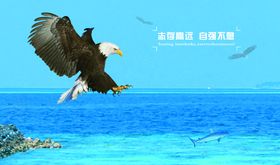 美发海报 美容展板 底图