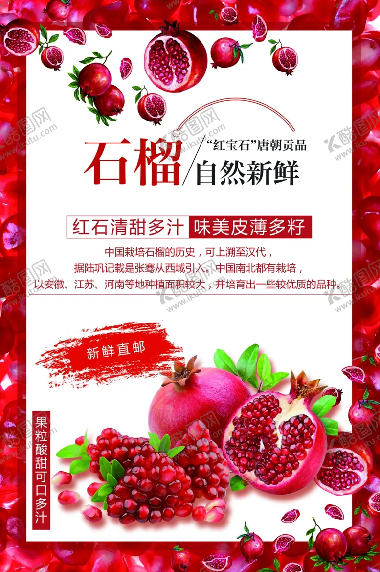 编号：79571901241037183936【酷图网】源文件下载-石榴
