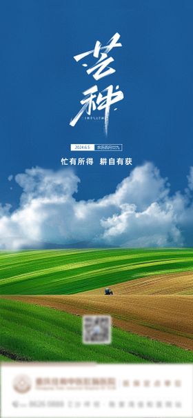 芒种节气海报二十四大简约