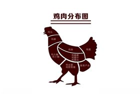 矢量鸡肉块状分布图