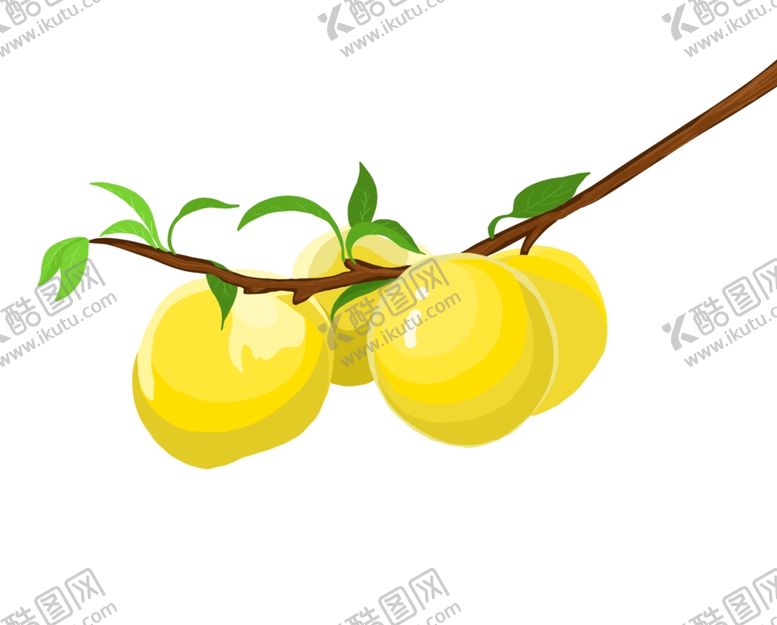 编号：90228609300434128495【酷图网】源文件下载-黄金奈李