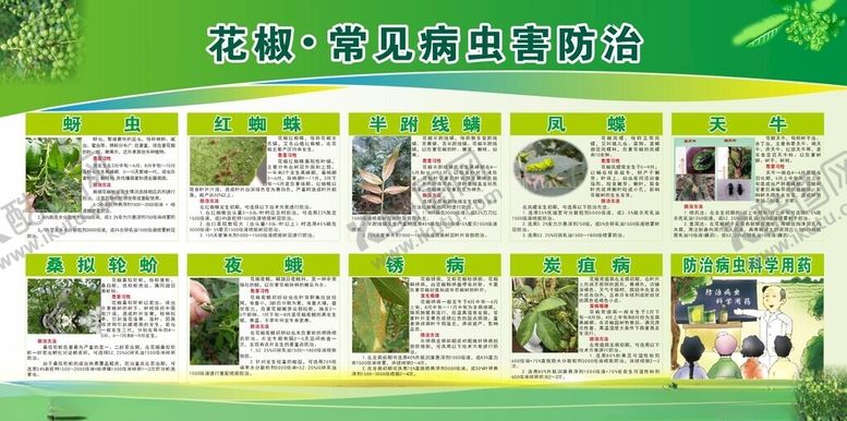 编号：64293302150734369063【酷图网】源文件下载-花椒宣传栏