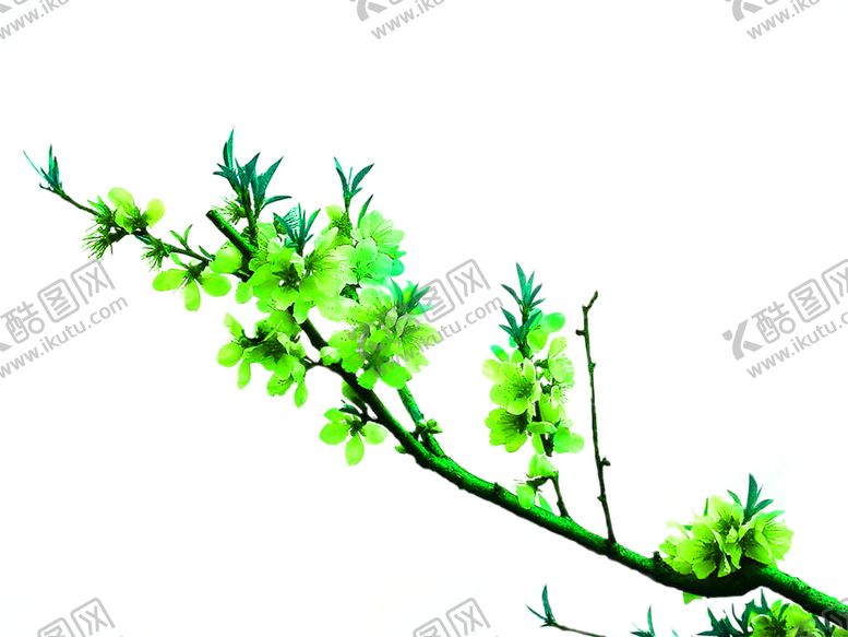 编号：57364609230235046217【酷图网】源文件下载-花素材