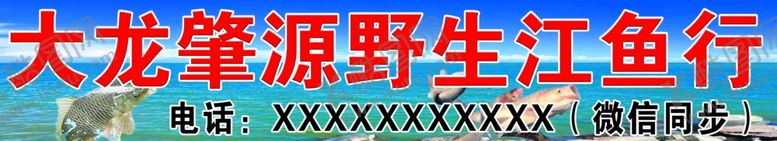 编号：21877705011143508717【酷图网】源文件下载-野生江鱼行