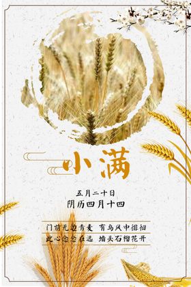 小满节气海报微信图主题图麦子