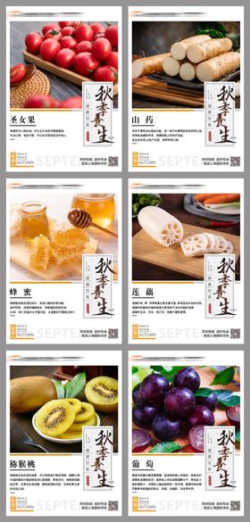 美食养生系列海报