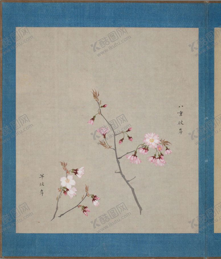 编号：75538704181409557291【酷图网】源文件下载-樱花