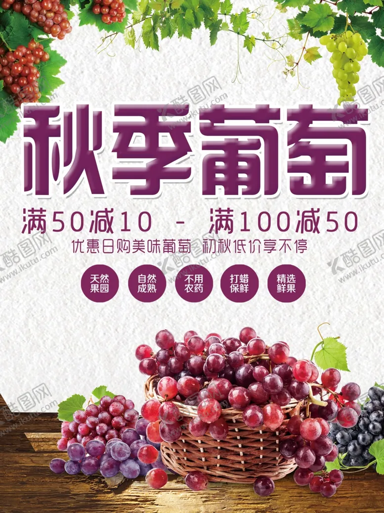 编号：58729601260056463884【酷图网】源文件下载-秋季葡萄