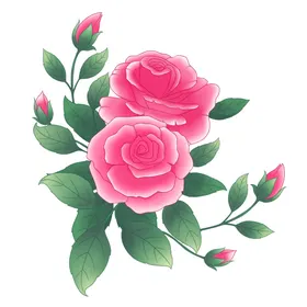 玫瑰花图片朵素材元素