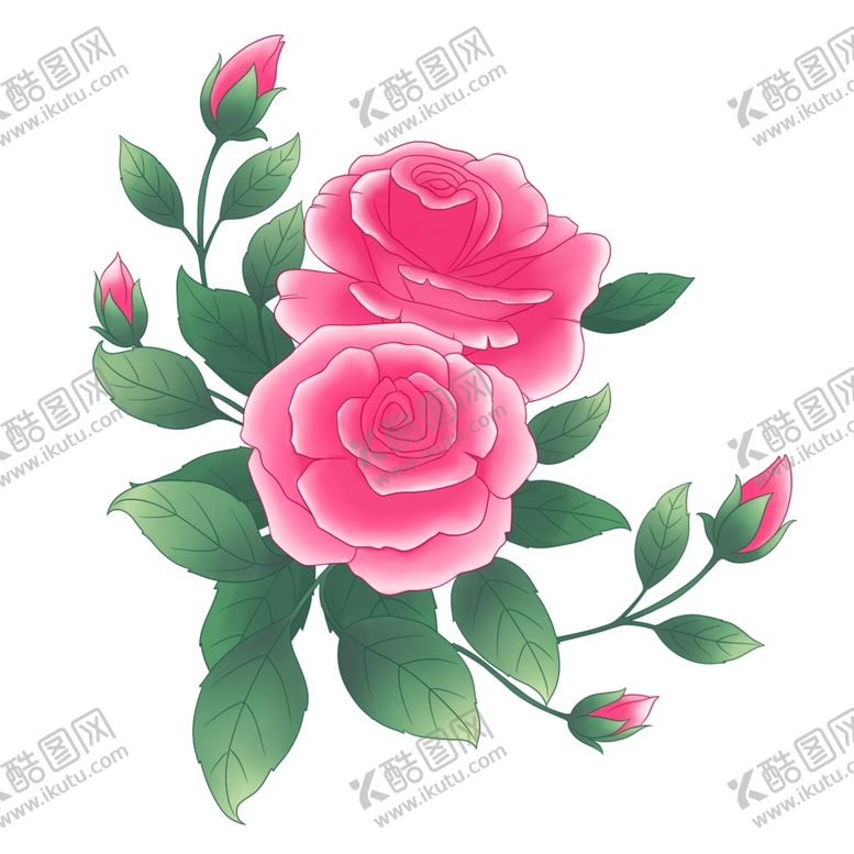 编号：84955302131526519280【酷图网】源文件下载-玫瑰花图片