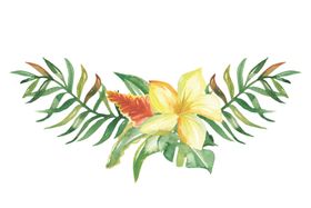 水彩植物花朵图案
