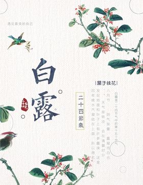 白露