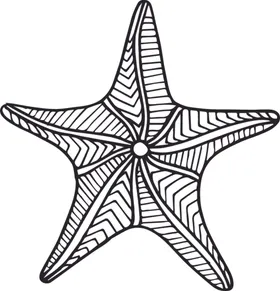 海星素描