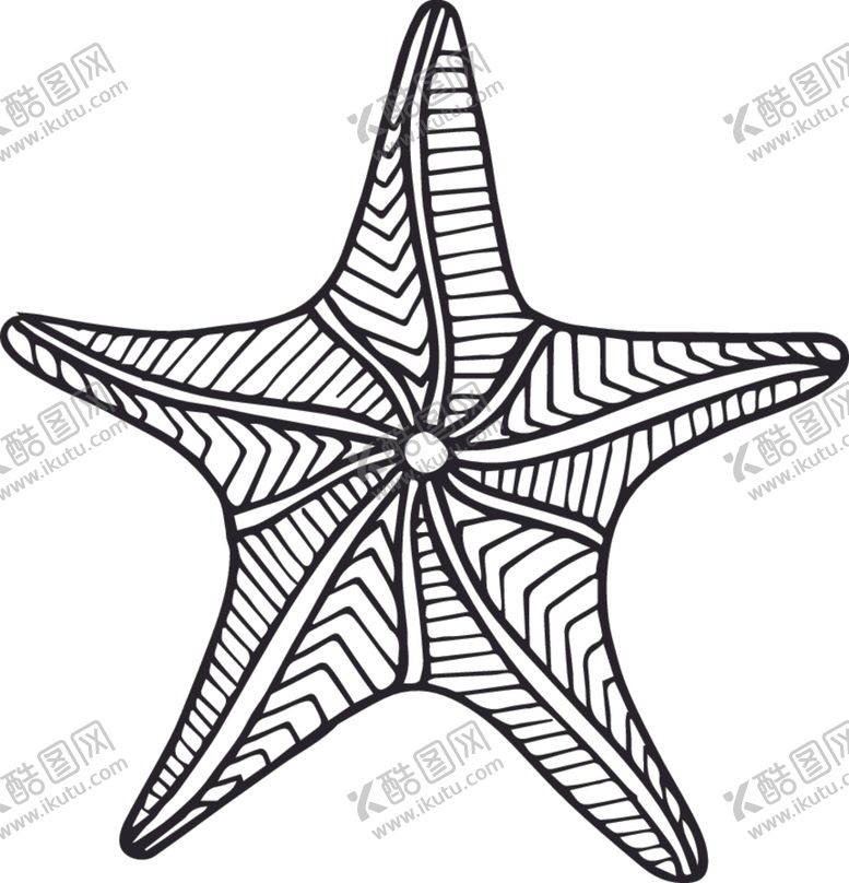 编号：10238210051345416037【酷图网】源文件下载-海星素描